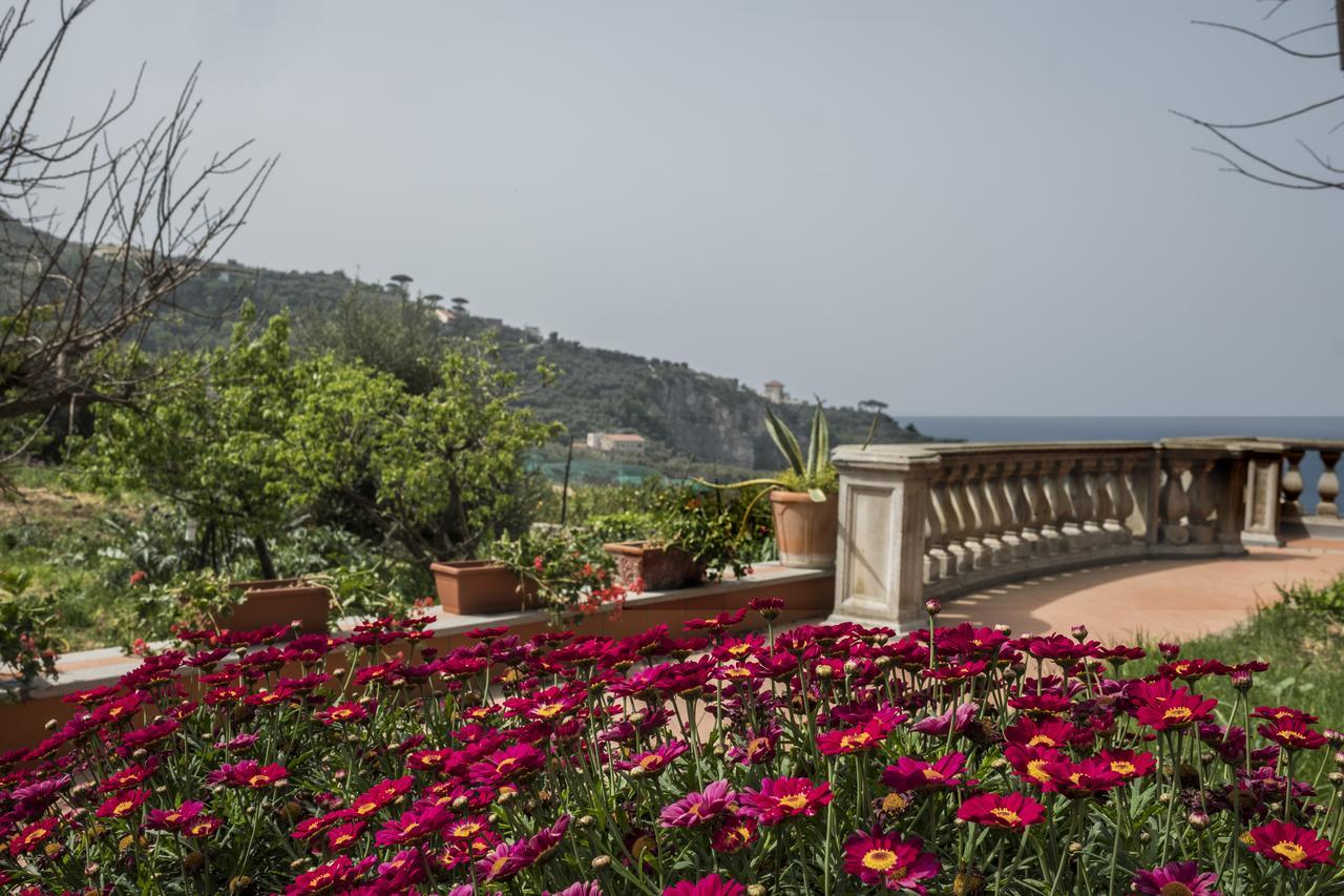 Faraglioni Di Sorrento Guesthouse Dış mekan fotoğraf